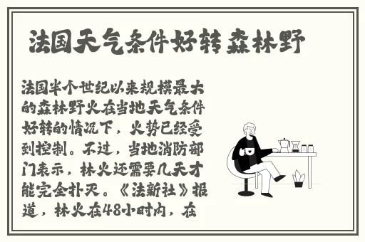 榴莲视频下绿巨人免费观看